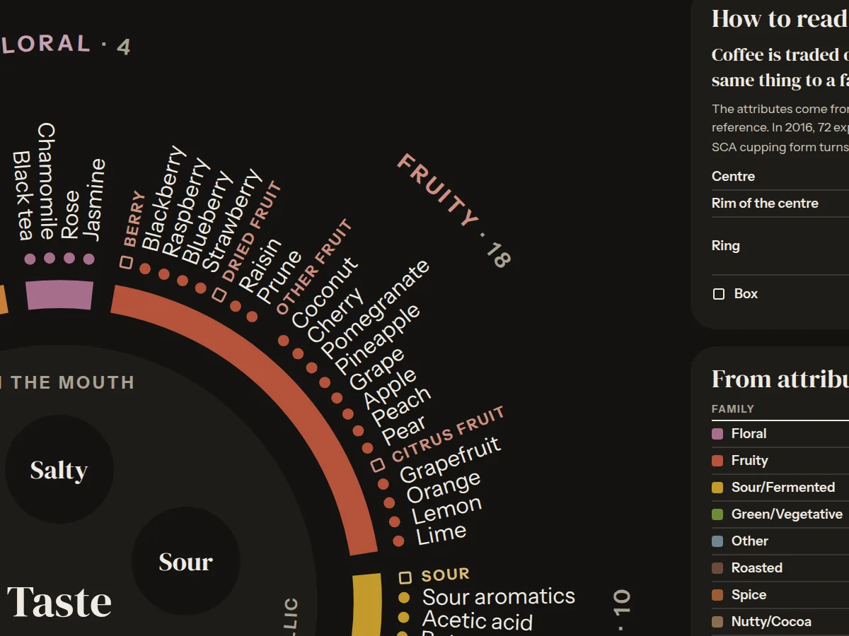 Detail of the poster: fruity and floral attributes around the wheel, with the five tastes at the centre